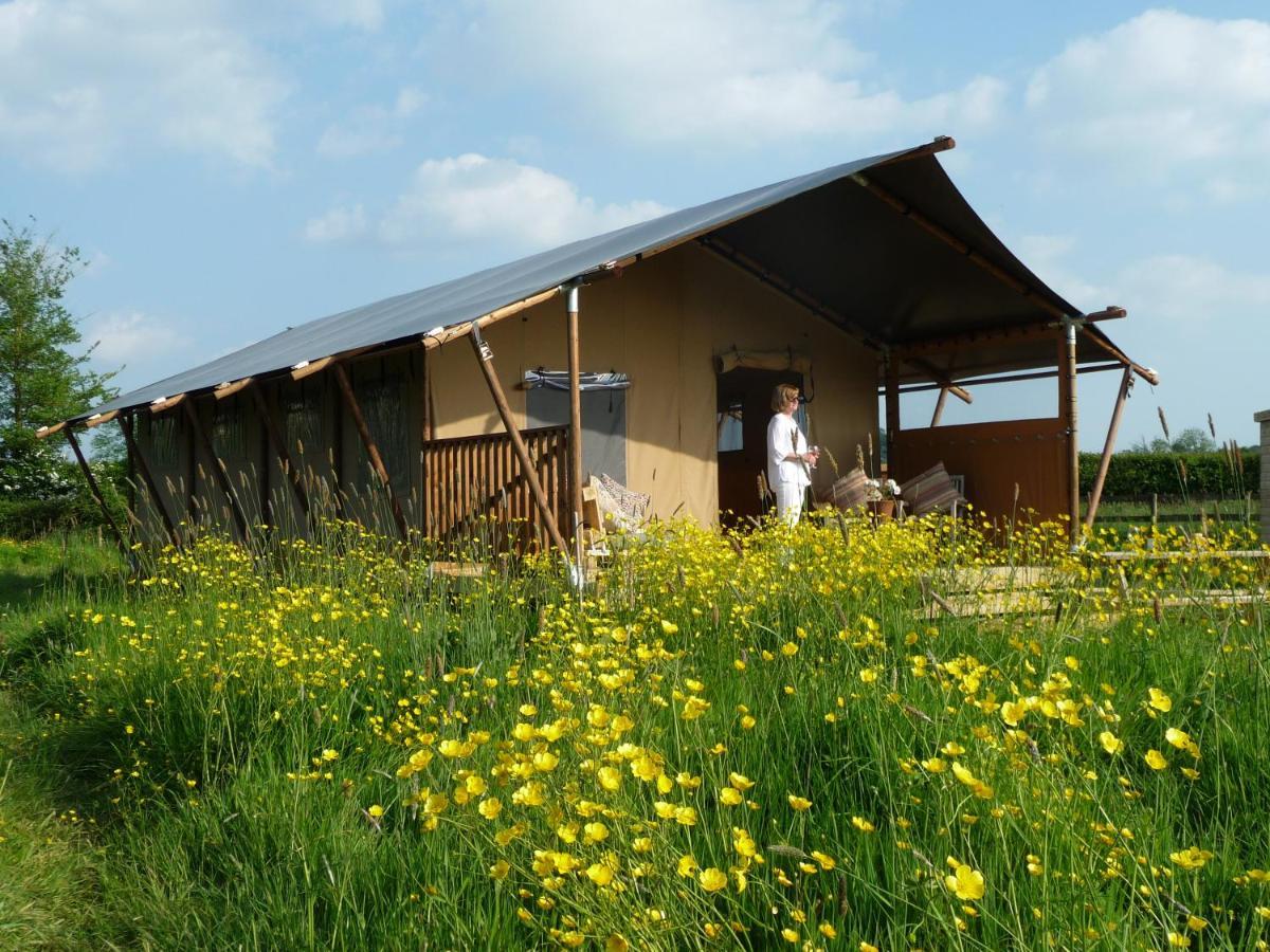 Tall Trees Glamping Baltonsborough Luaran gambar