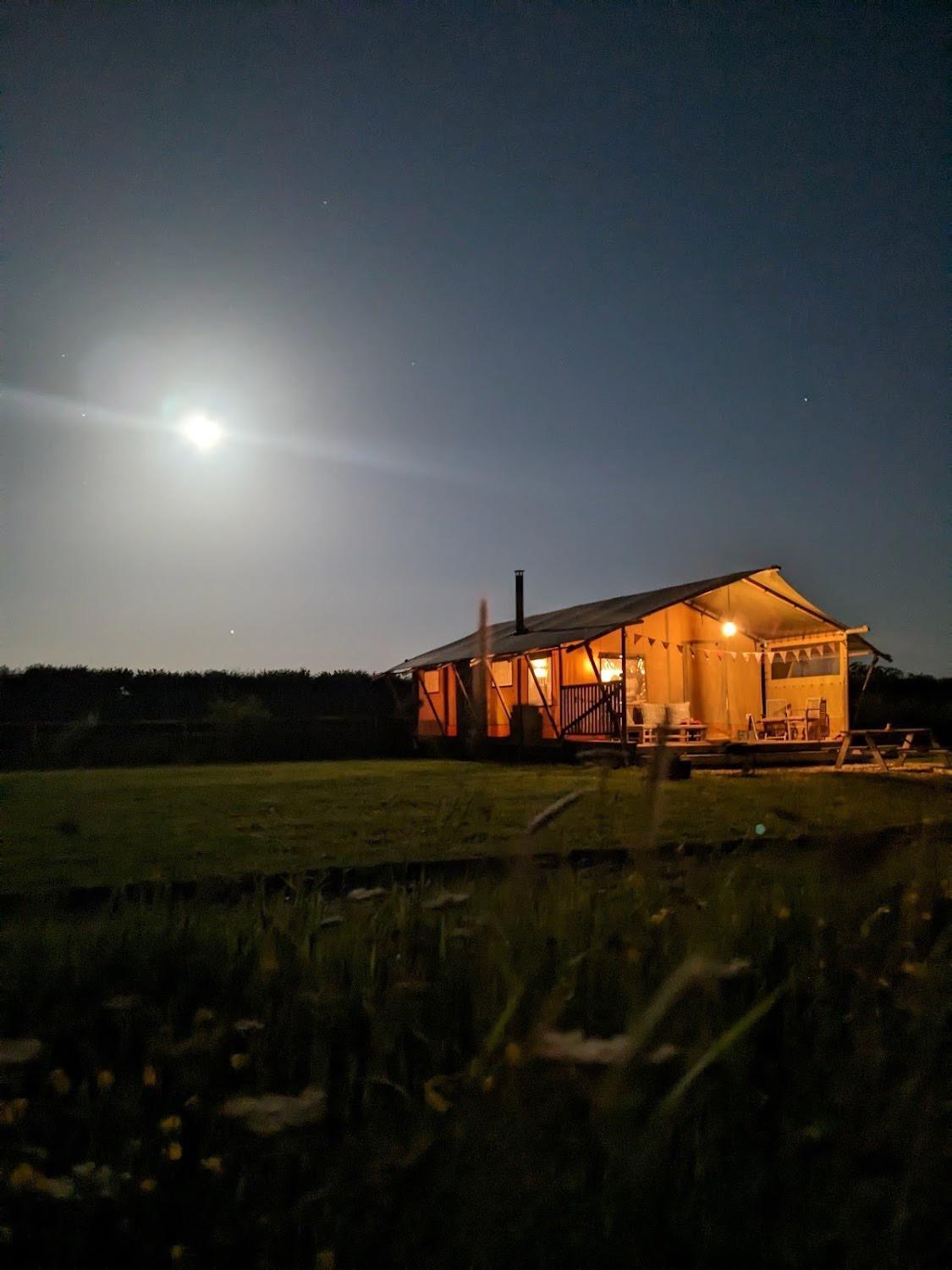 Tall Trees Glamping Baltonsborough Luaran gambar
