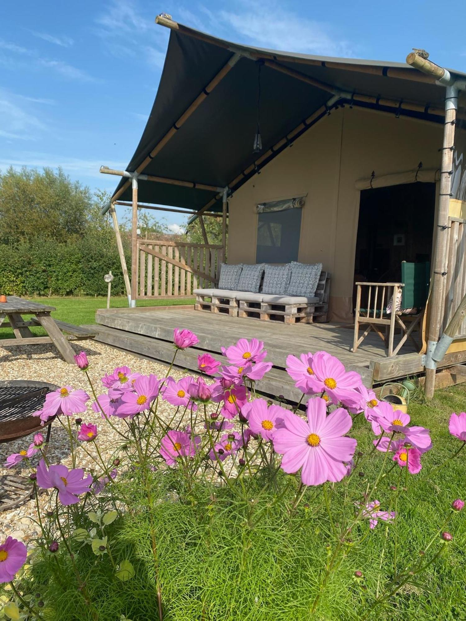 Tall Trees Glamping Baltonsborough Luaran gambar